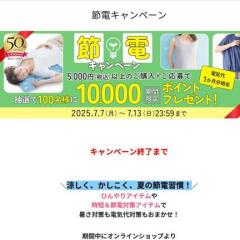 ťڡ󡡥륹ޥݥ(10,000ݥ)100̾