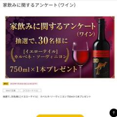 Ȱߤ˴ؤ륢󥱡(磻)ƥ ٥͡˥(750ml)30̾