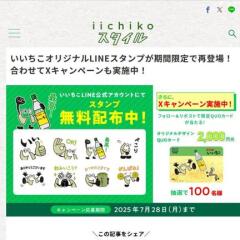 iichikoX եݥȥڡ󡡥ꥸʥQUO(2,000ʬ)100̾