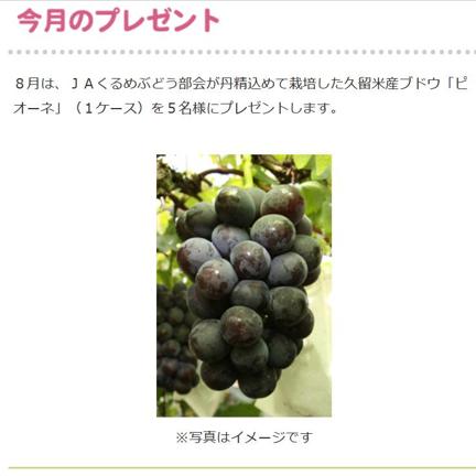 JAくるめのブドウ「ピオーネ」