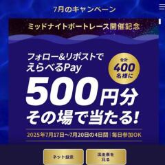 οȴߥåɥʥȥܡȥ졼٤Pay(500ʬ)400̾