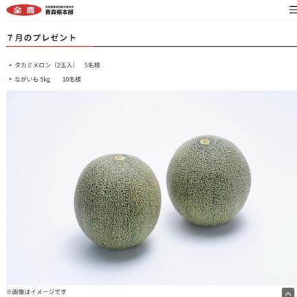 タカミメロン、ながいも