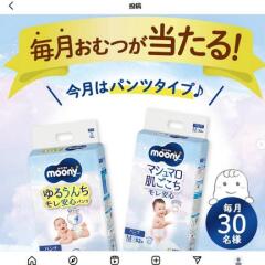 ࡼˡޥ ץ쥼ȥڡ󡡤뤦¿ѥġޥޥȩ ¿30̾