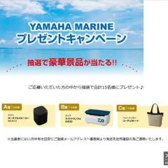 YAMAHA MARINE ץ쥼ȥڡ󡡥ݡ֥륹ԡ饤ȥȥ󥯦2400إ꡼ϥ󥻥 ǥȡȢ15̾