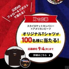 åȥѥˡߥꥫӡ Wڡ󡡥ꥸʥTĢ100̾