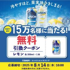 ӥ̵ݥץ쥼ȥڡ󡡡֥GINONץӥ̵ݥ150,000̾