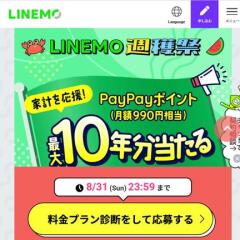 PayPayݥ 118,800PayPayݥ 11,880PayPayݥ 9909,000̾