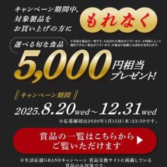 ٤뽵ʿ 5,000