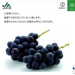 JAΤեۡڡ ץ쥼ȥʡγ