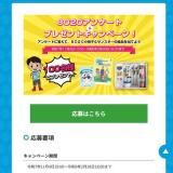 8020�ץ쥼��ȡ����󥱡��� �����ڡ���γ���