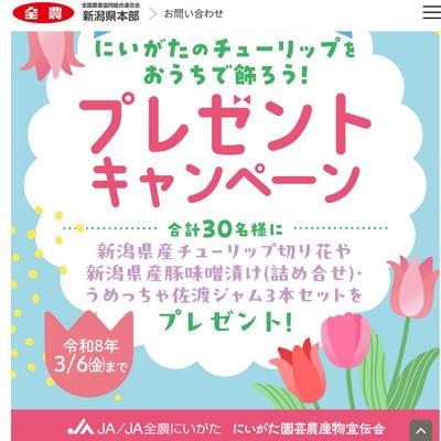 �ˤ������Υ��塼��åפ򤪤����Ǿ��������ץ쥼��ȥ����ڡ���ξܺ�