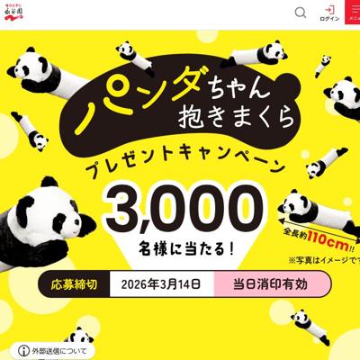 �ѥ������������ޤ���ץ쥼��ȥ����ڡ���ξܺ�