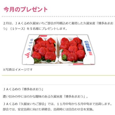 ����Υץ쥼��Ȥξܺ�