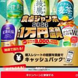 �������2026�γ���