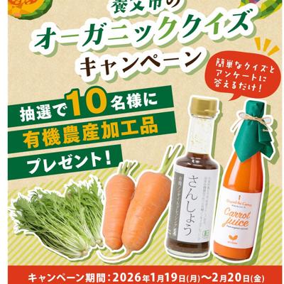 ����ԤΥ������˥å������������ڡ���ξܺ�