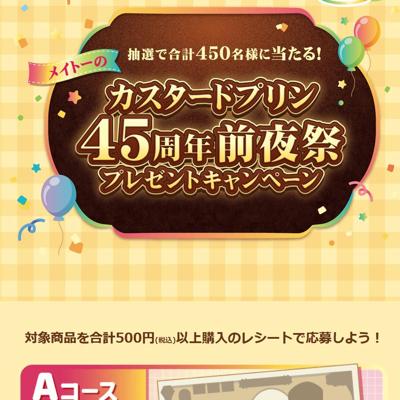 �ᥤ�ȡ��Υ��������ɥץ��45��ǯ����ץץ쥼��ȥ����ڡ���ξܺ�