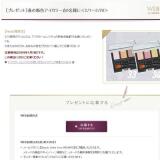 ��ʡ���Web�������ץ쥼��Ȥγ���