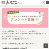 ����в�����ꥢ�󥱡��Ȥγ���