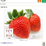 1��Υץ쥼��ȥ������γ���