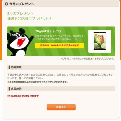 11��Υץ쥼��Ȥξܺ�