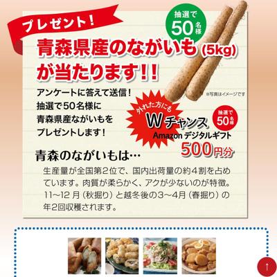 �Ŀ������������2026�ξܺ�