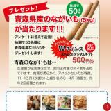 �Ŀ������������2026�γ���