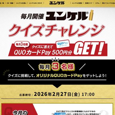 ��󥱥� �����������󥸤ξܺ�