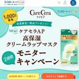 ������ꡪ���ʥץ쥼��Ȥγ���