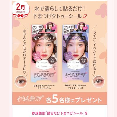 ����(11��)�Υץ쥼��Ȥξܺ�