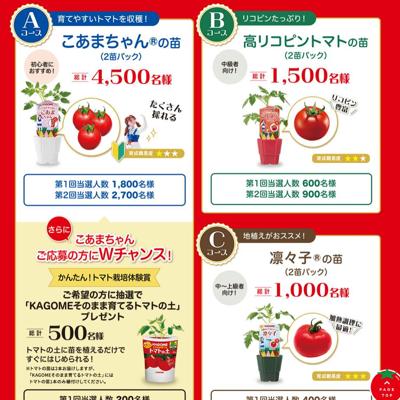 �Ĥ����ƤƳڤ��� ������ȥޥȤ��ĥץ쥼��ȥ����ڡ���ξܺ�