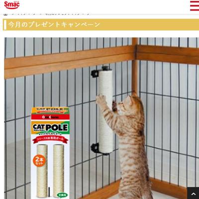 ����Υץ쥼��ȥ����ڡ���ξܺ�