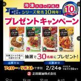 ���ॹ�ȥå�̾�ͥ��꡼��ȯ�� 10��ǯ��ǰ �ץ쥼��ȥ����ڡ���γ���