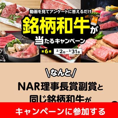 KEIBA CHIKUSAN�����ڡ���2025 ��6���ξܺ�