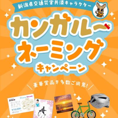 ���󥬥롼�͡��ߥ󥰥����ڡ���ξܺ�