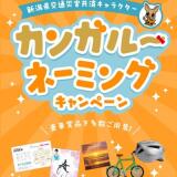 ���󥬥롼�͡��ߥ󥰥����ڡ���γ���