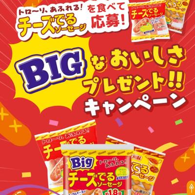 Big�������Ǥ륽�������� �ǥ����륮�եȥ����ڡ���ξܺ�