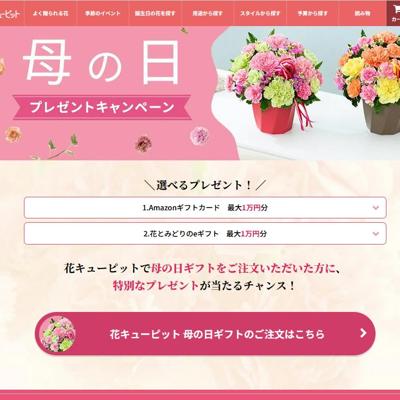 ����� �ץ쥼��ȥ����ڡ���2026�ξܺ�