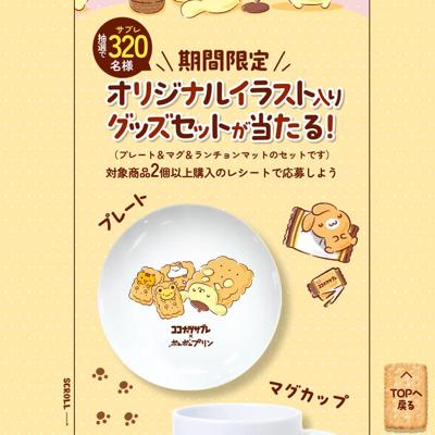 �����ʥåĥ��֥� �� �ݥ�ݥ�ץ���ǯ����ܥ����ڡ���ξܺ�