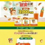 �ѥ�ɤ��ܤ���ī�����祭���ڡ���γ���