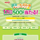 ������������祭���ڡ���γ���