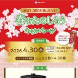 ������������ �դ�ڤ��⤦�����ڡ���γ���