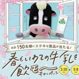 �դ⤤��Ƥε��������������ڡ���γ���