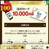 �����å׿�����饯�����ǥӥ塼��ǰ�����ڡ���γ���