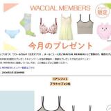 My Wacoal ���С�����ץ쥼��Ȥγ���