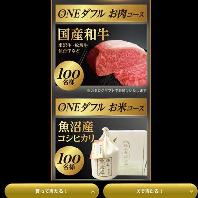 ���ޥ��� ONE���ե륭���ڡ���ξܺ�