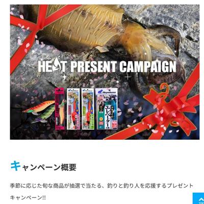 ���ͱ��� �ץ쥼��ȥ����ڡ���ξܺ�